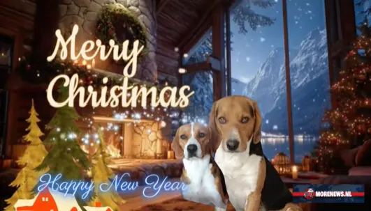 Merry #Christmas and a #Happy New Year